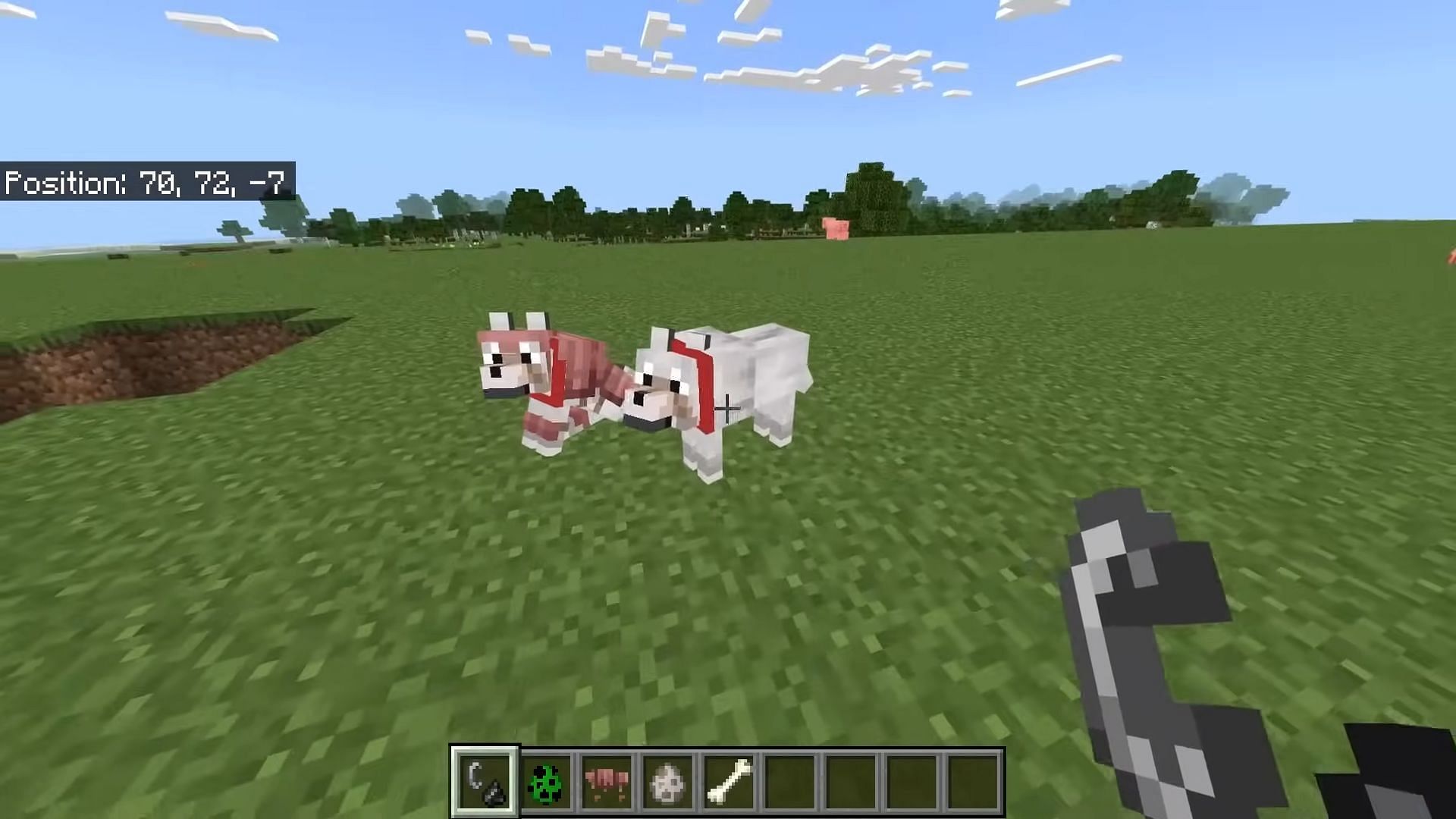 Updated wolf collar textures in Minecraft preview 1.20.70.20 (Image via ECKOSOLDIER/YouTube)