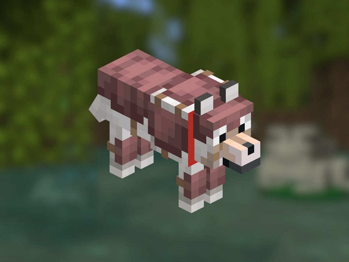 Tamed wolves are now protected with scute armor (Image via Mojang)