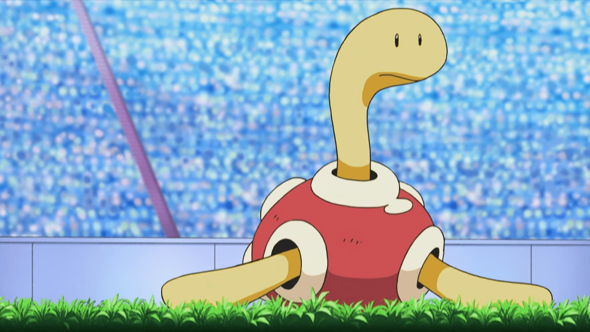 Shuckle in the anime (Image via The Pokemon Company)