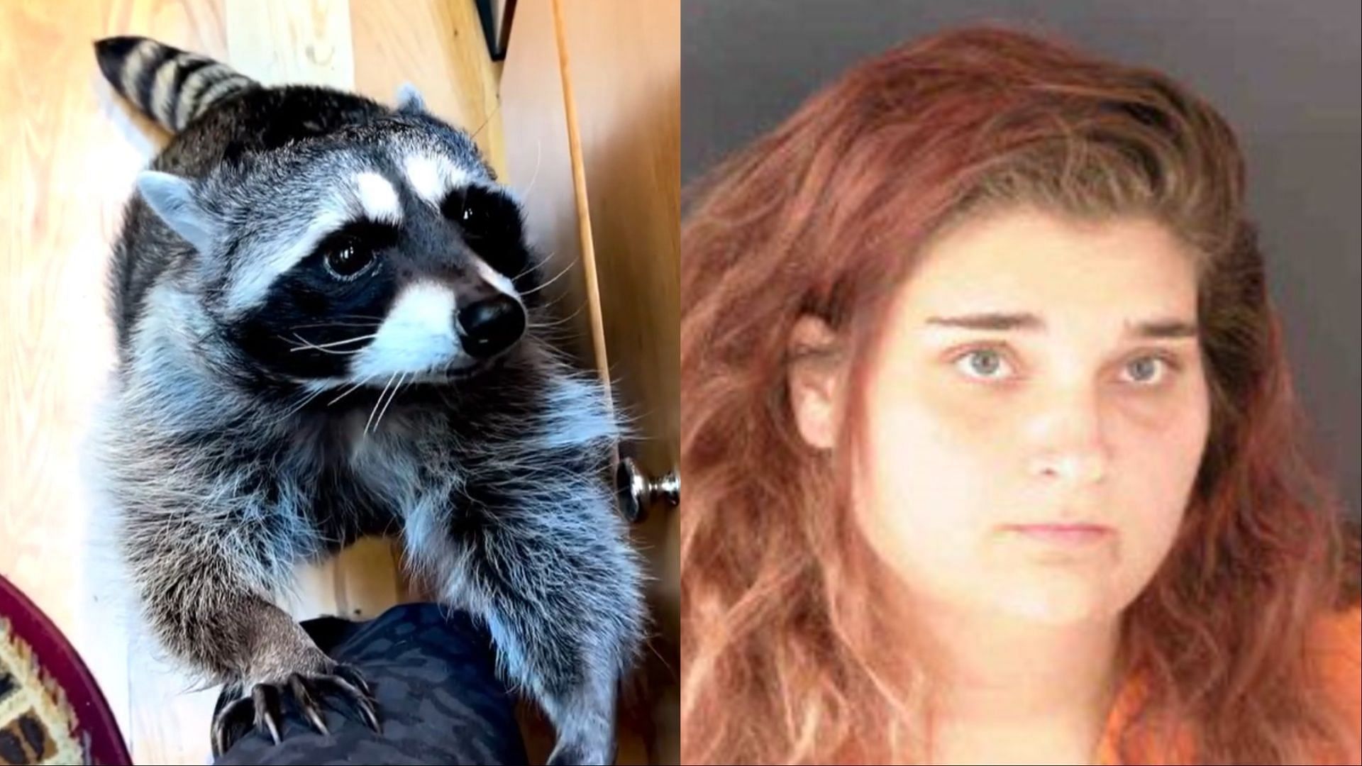 Petition receives thousands of signature after Alicia Kincheloe only gets sentenced to work program after torturing animal (Image via awesome.raccoon/Instagram and LPaulKang/X)  