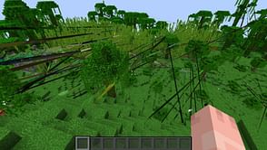 Minecraft player experiences weird spike glitch