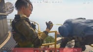There are plenty of finishing move options in Warzone (Image via Activision)