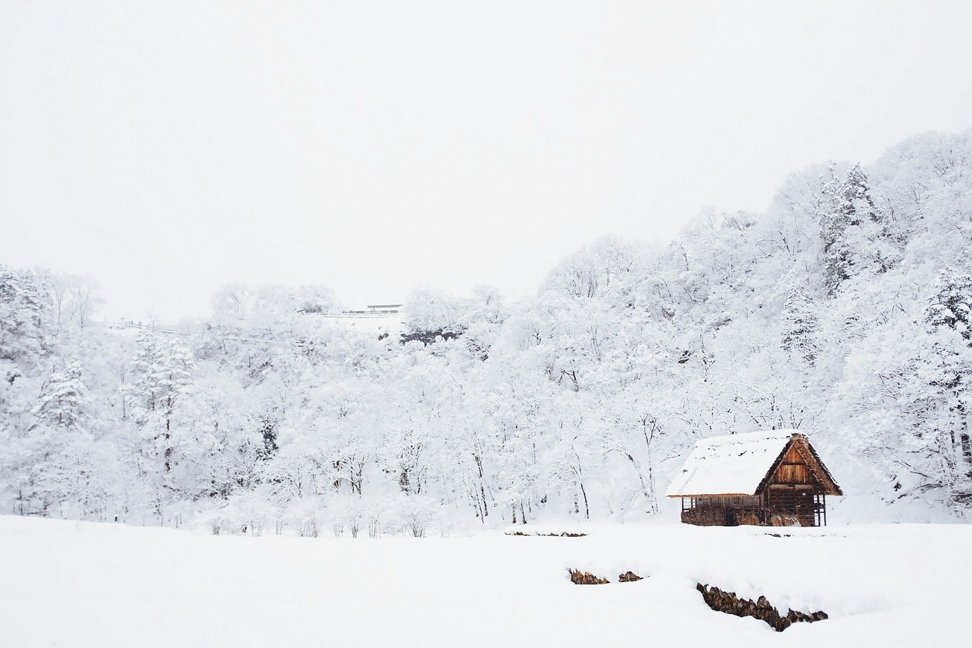 Is it safe to eat snow (Image via Unsplash/Fabian Mardi)