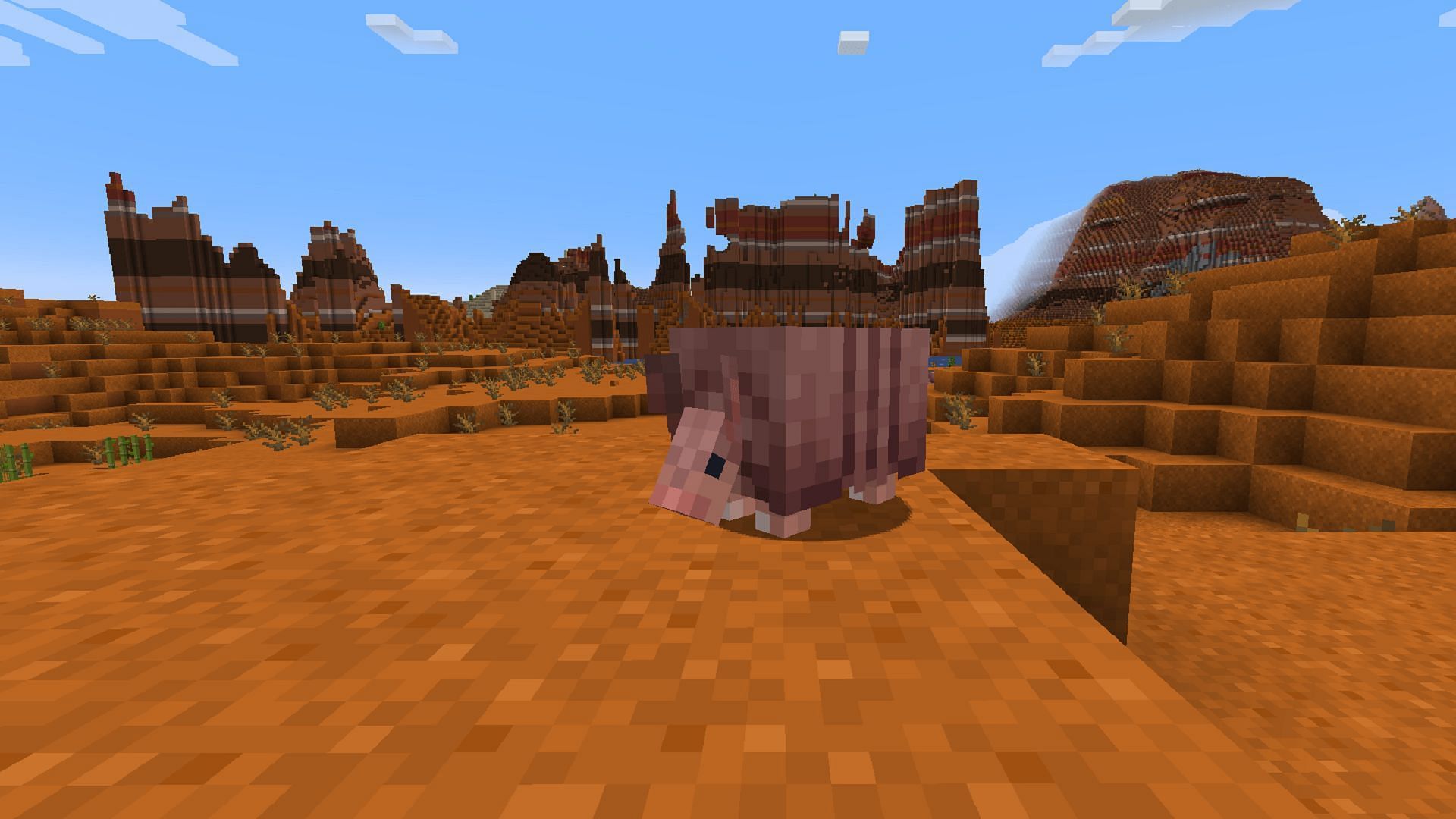 Les tatous peuvent actuellement apparaître dans les badlands et les biomes de la savane (Image via Mojang)