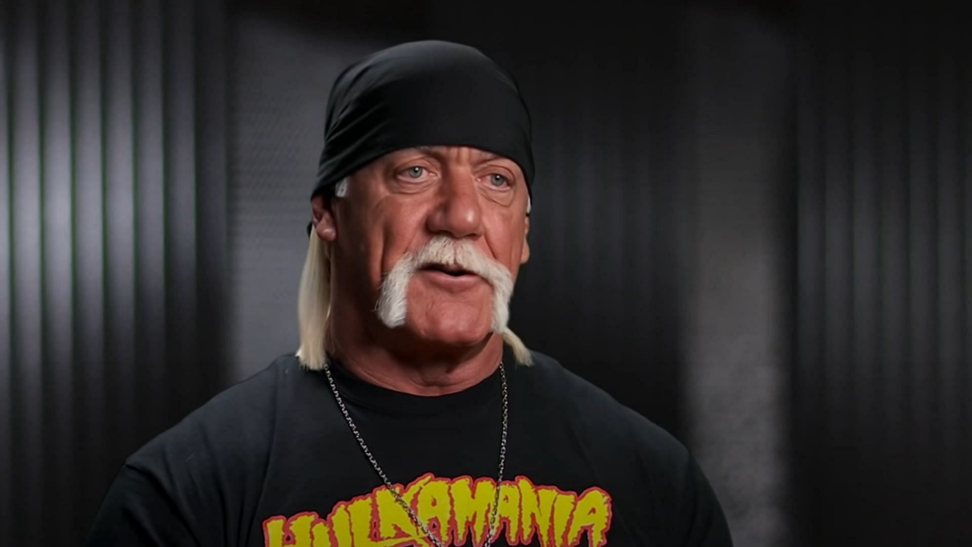 Hulk Hogan is widely viewed as one of wrestling