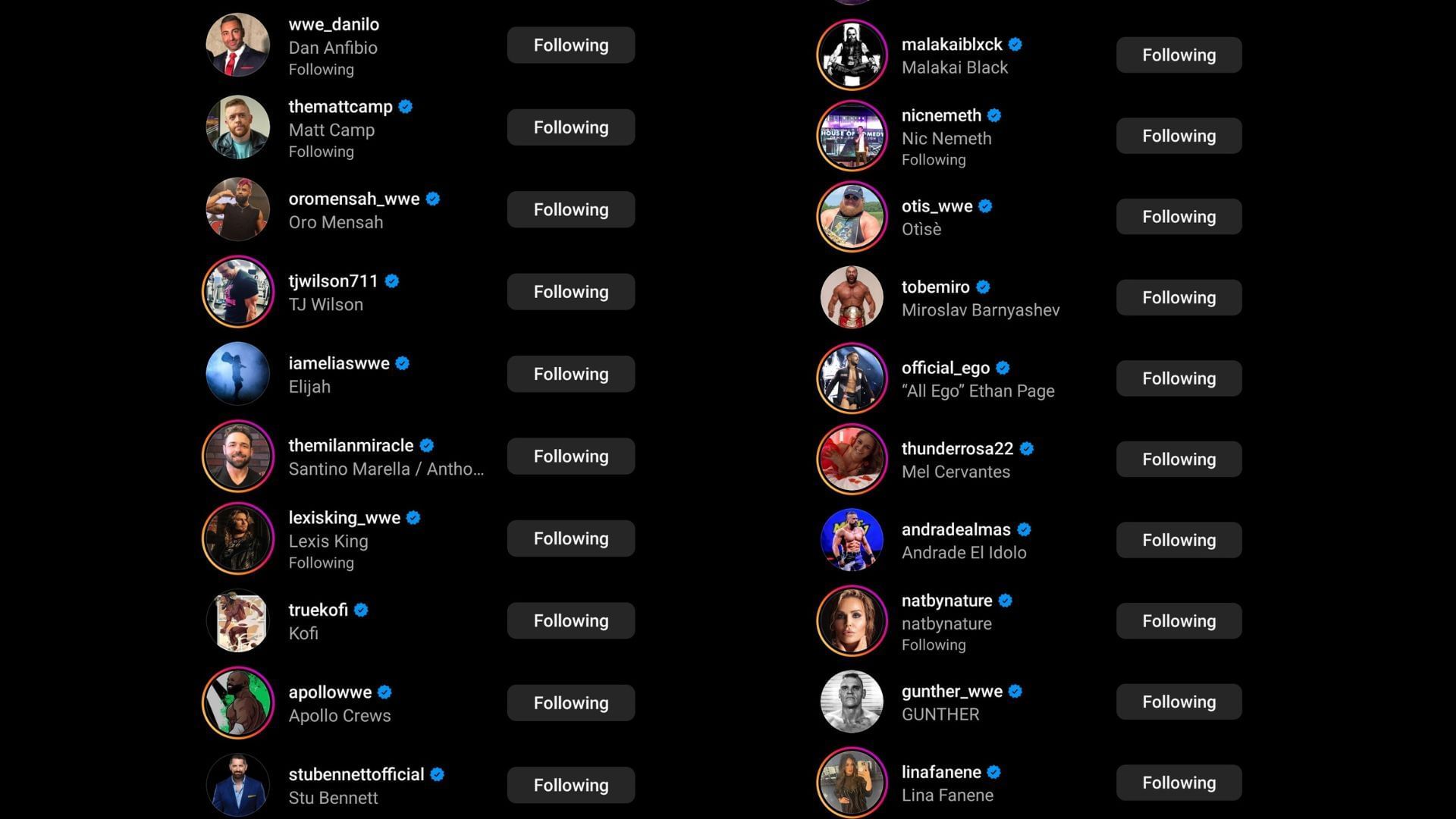 Screenshot of stars&#039; likes on the former Cesaro&#039;s Instagram post