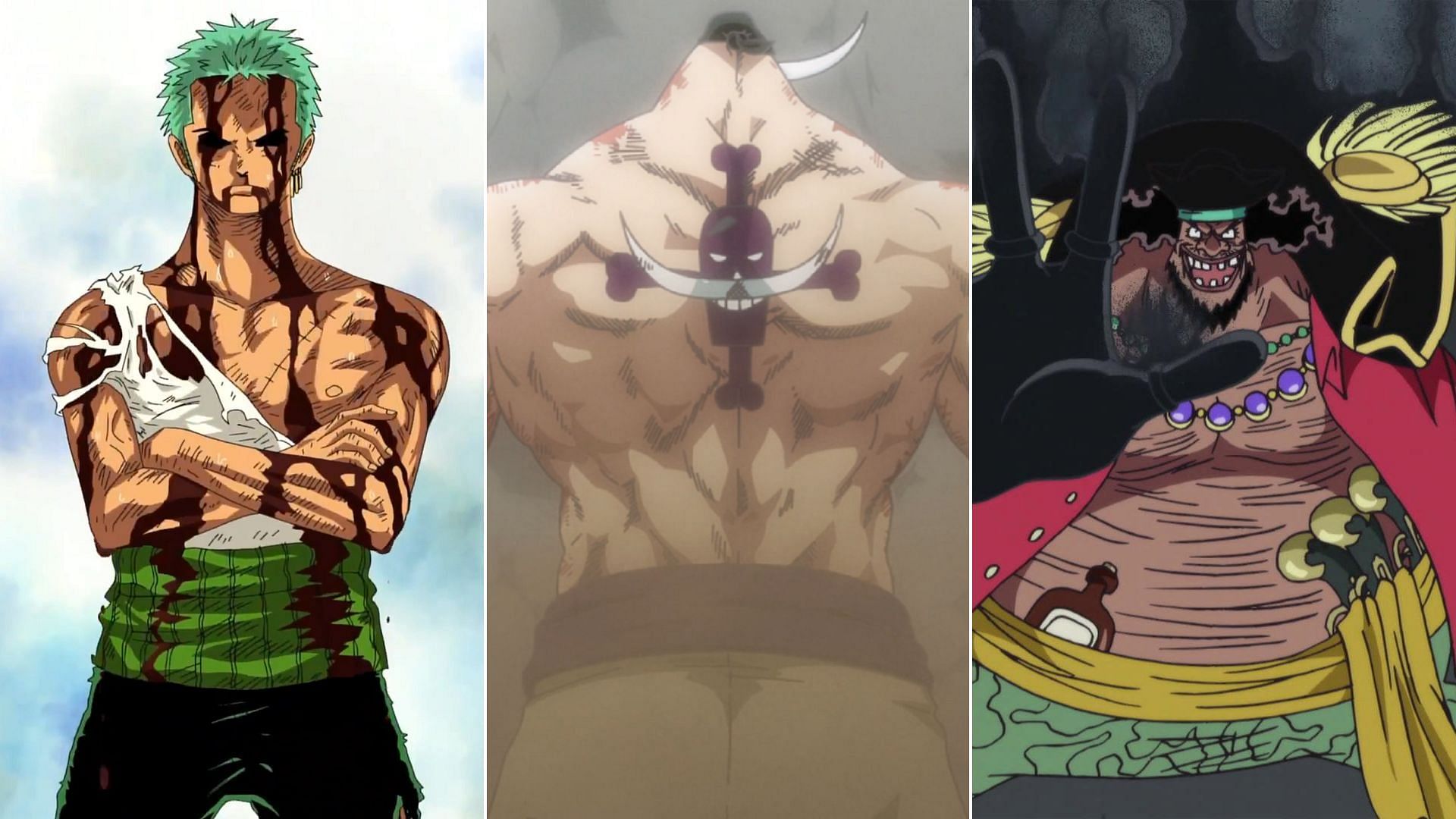Certain One Piece characters have normal bodies, but unreal endurance (Image via Toei Animation, One Piece)
