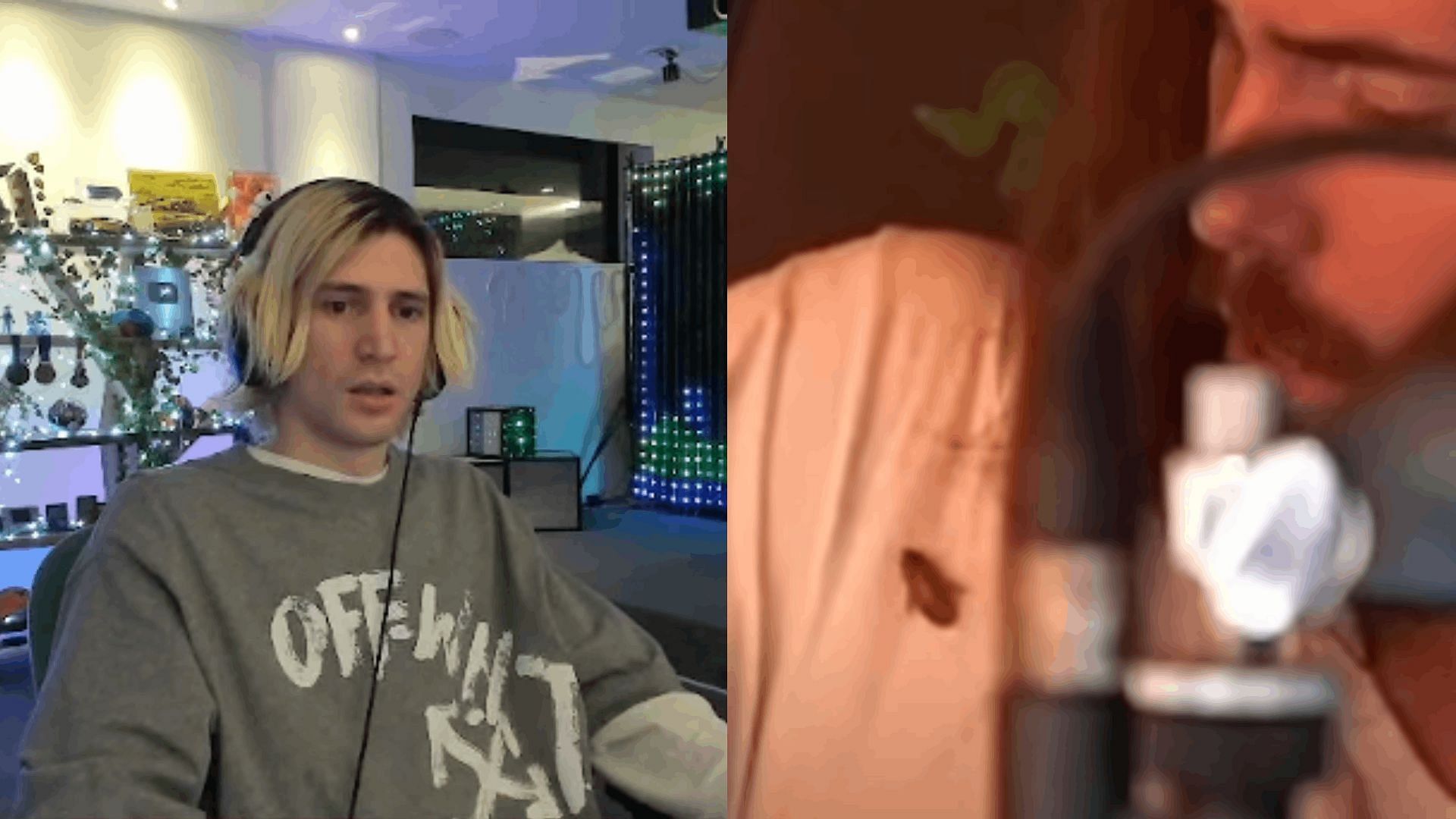 xQc was left shocked after watching Asmongold grab a cockroach with his hand (Image via xQc/Twitch)