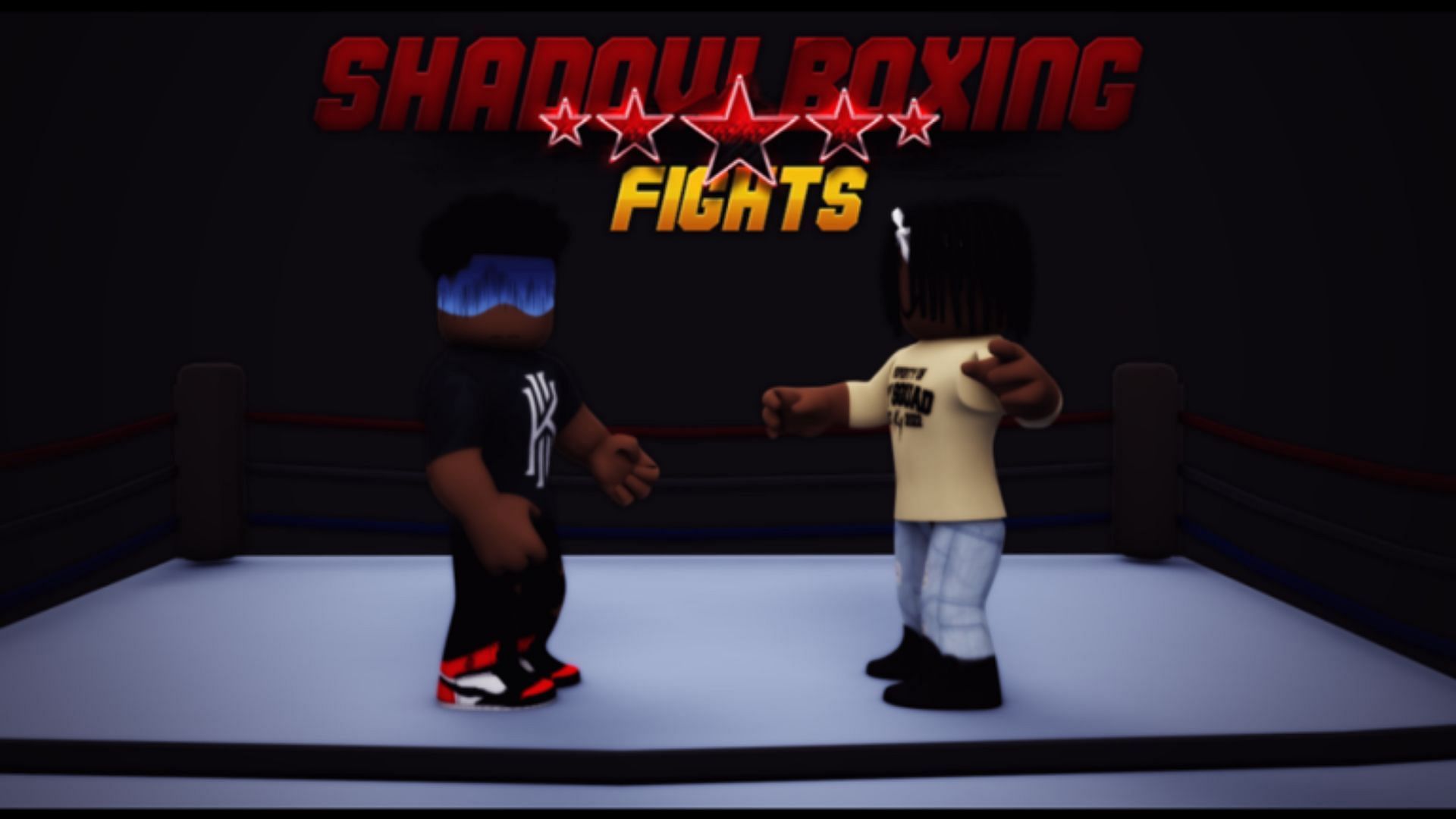 Codes for Shadow Boxing Fights and their importance (Image via Roblox)