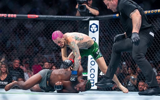 Sean O'Malley vs. Aljamain Sterling and 4 of the best counterpunch wins in UFC history