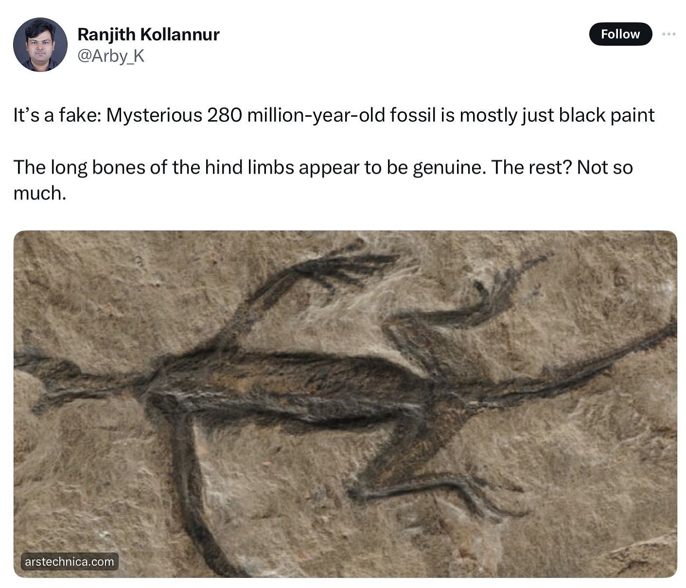 New study shows a 280 million-year-old reptile specimen is a fake (Image via @Arby_K/X)
