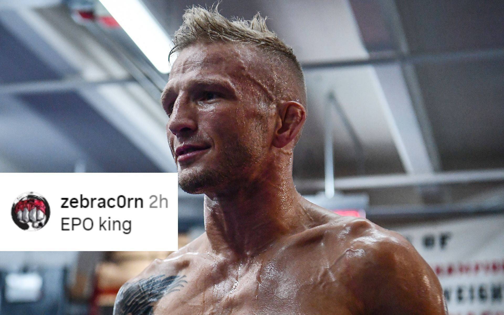 Former UFC champion T.J. Dillashaw has been teasing an MMA comeback [Image courtesy: Getty Images]