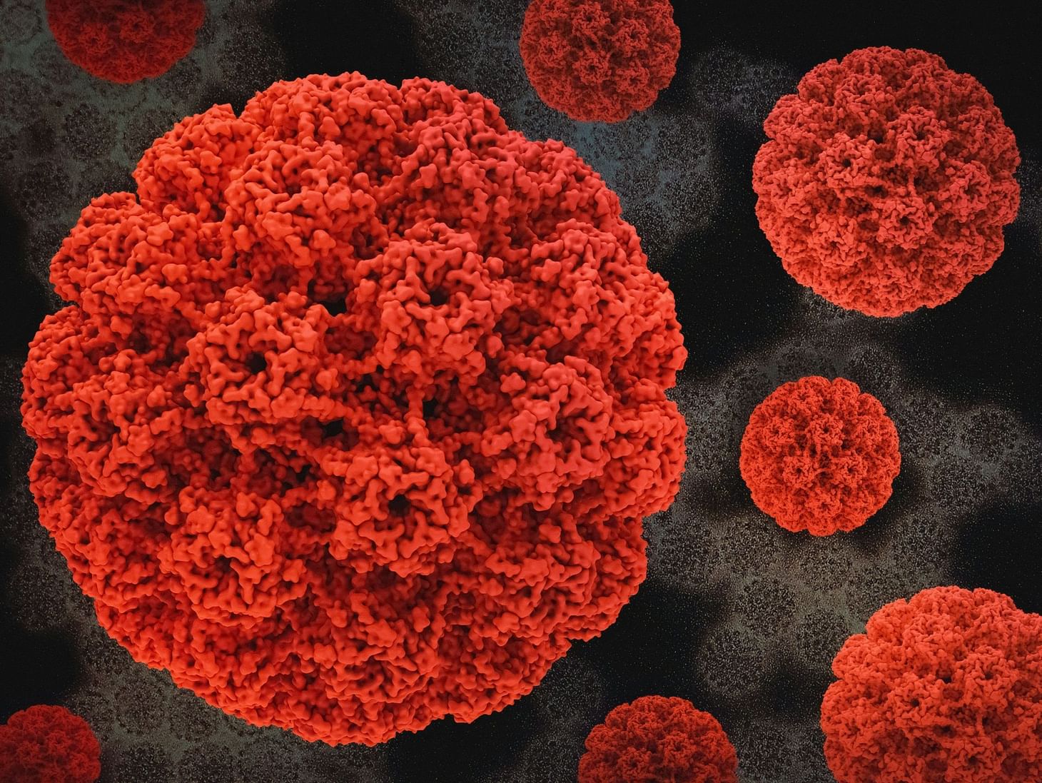 Here’s everything you need to know about HPV in men