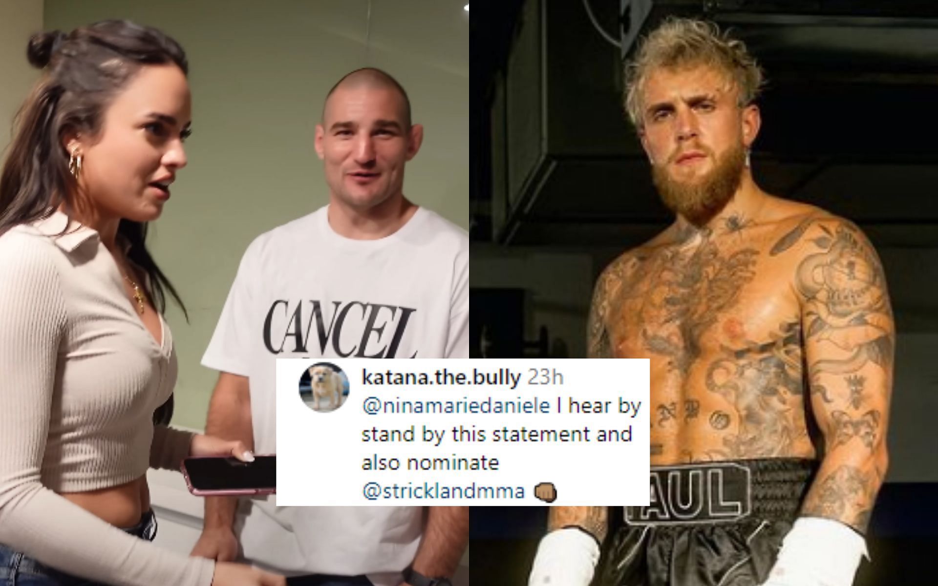 Fans react after Nina-Marie Daniele suggested Sean Strickland avenge Jake Paul