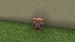 Minecraft players choose one in-game command to use in real life