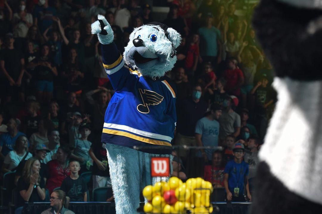 St. Louis Blues mascot Louie The Blue Bear Salary