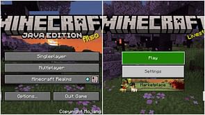 Can Minecraft Java play with Bedrock? Answered