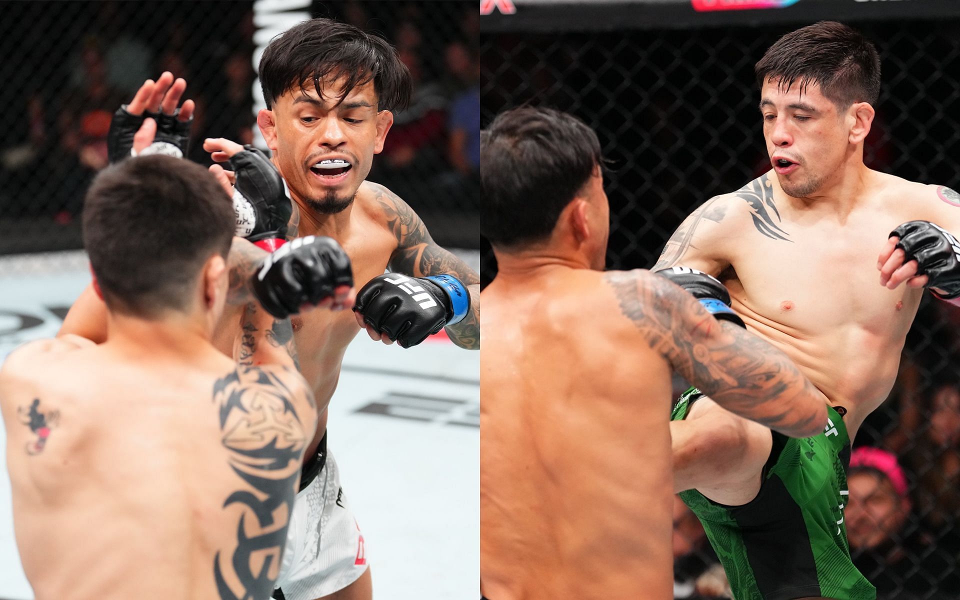 Brandon Royval (left) and Brandon Moreno (right) delivered a back-and-forth contest in the UFC Mexico main event [Image Courtesy: @UFC X]