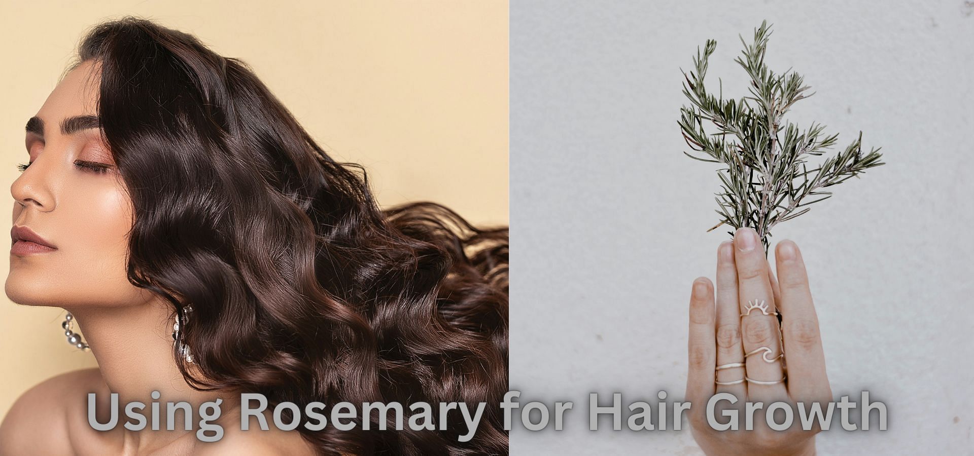 How to Store Fresh Rosemary