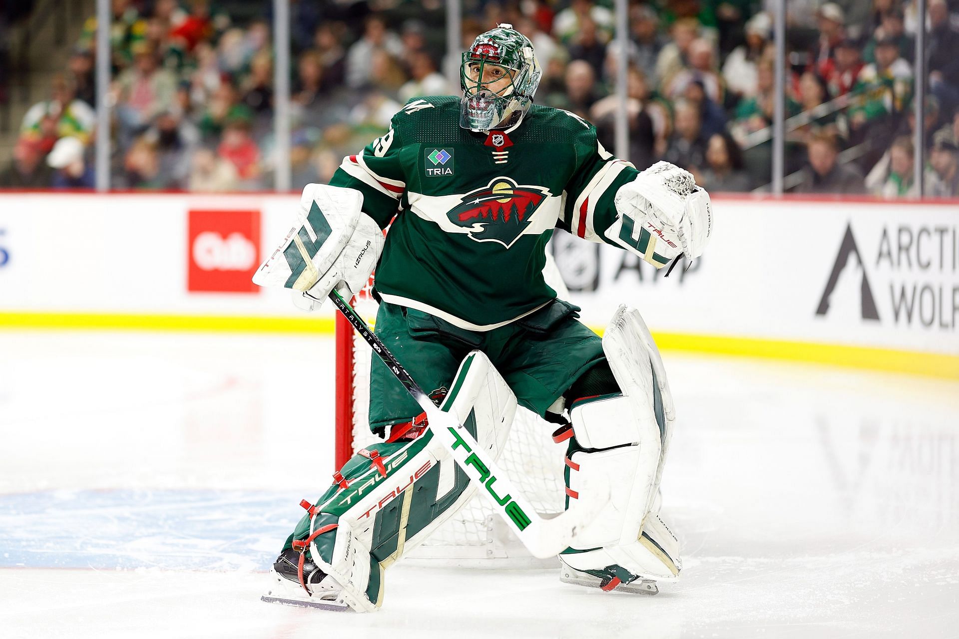 Minnesota Wild- Marc-Andre Fleury