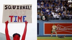 5 times when animal interference disrupted the flow of an MLB game