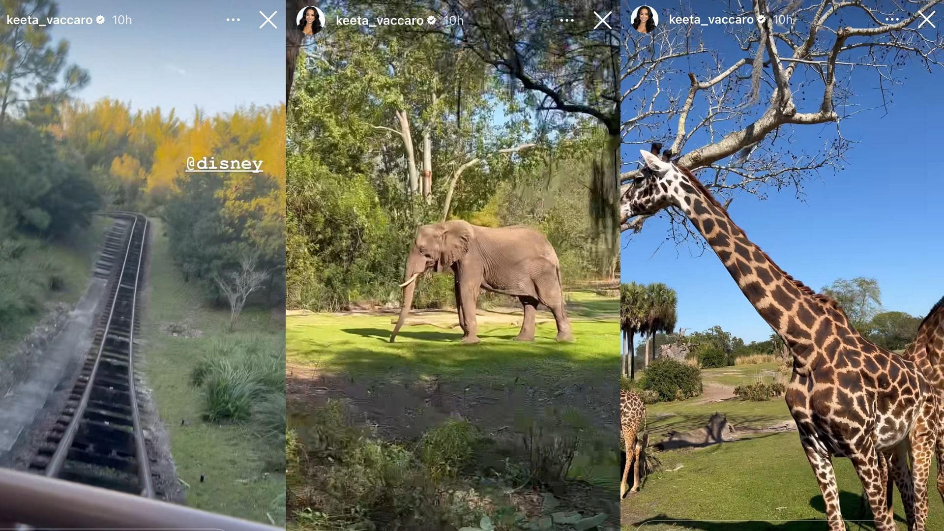 Tyreek Hill and his wife enjoying some time at Animal Kingdom. (IG:keeta_vaccaro)