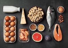 Can a high-protein diet lead to atherosclerosis?