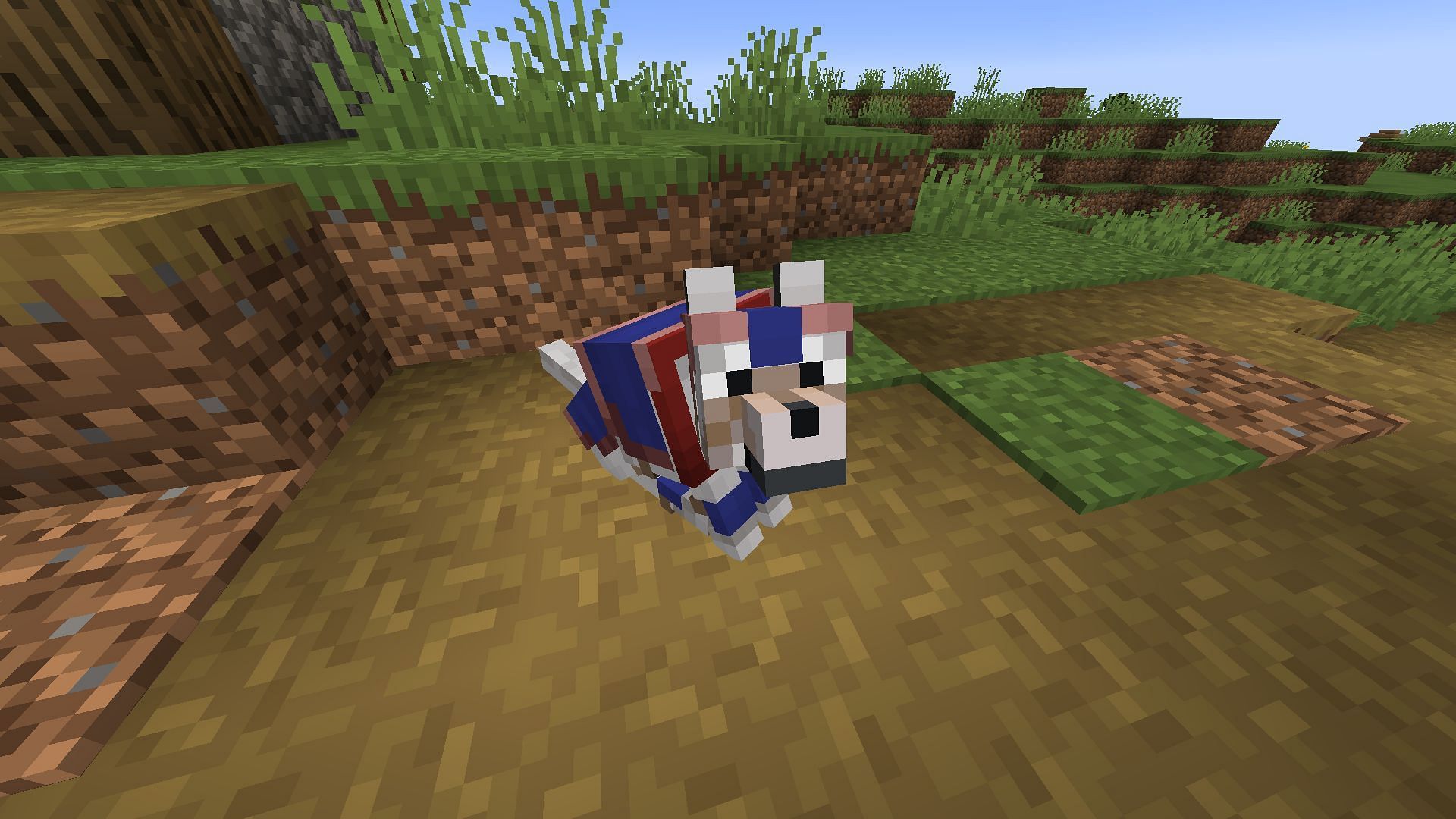 Wolf armor can now be dyed and show signs of wear in Minecraft Snapshot 24w09a (Image via Mojang)