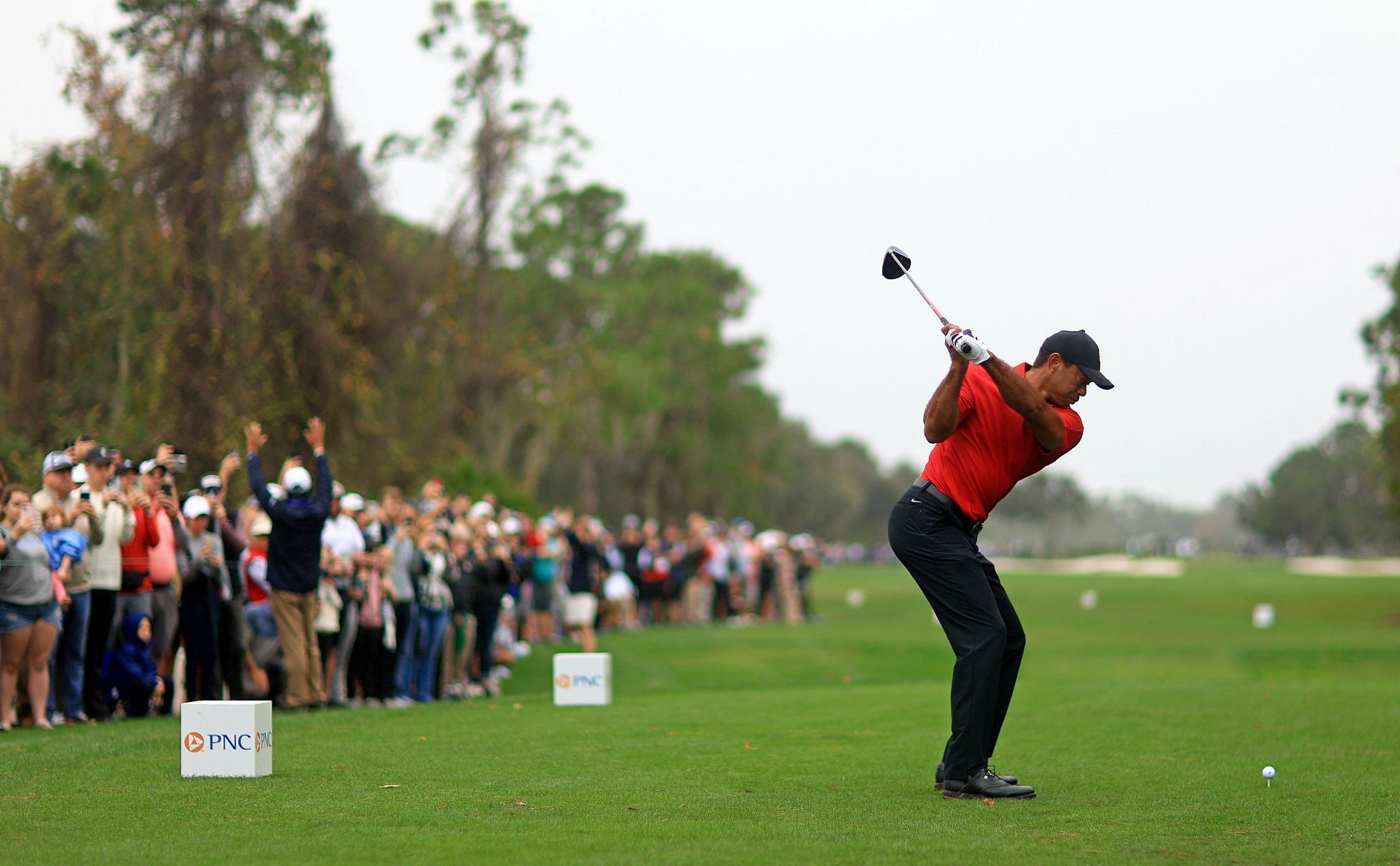 Tiger Woods (Image via Mike Ehrmann/Getty Images)