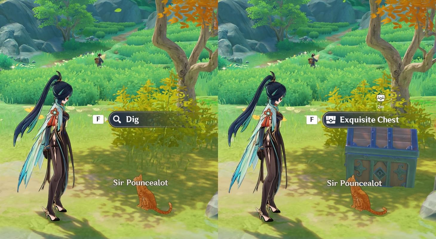 Fish Seized From a Pelican's Mouth: Genshin Impact hidden puzzle guide