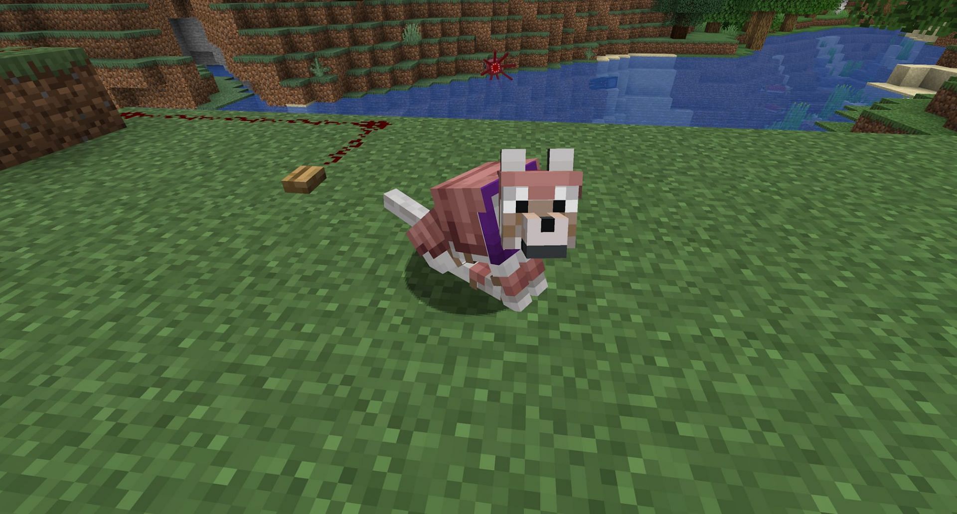 A tamed plain wolf in armor (Image via Mojang Studios)