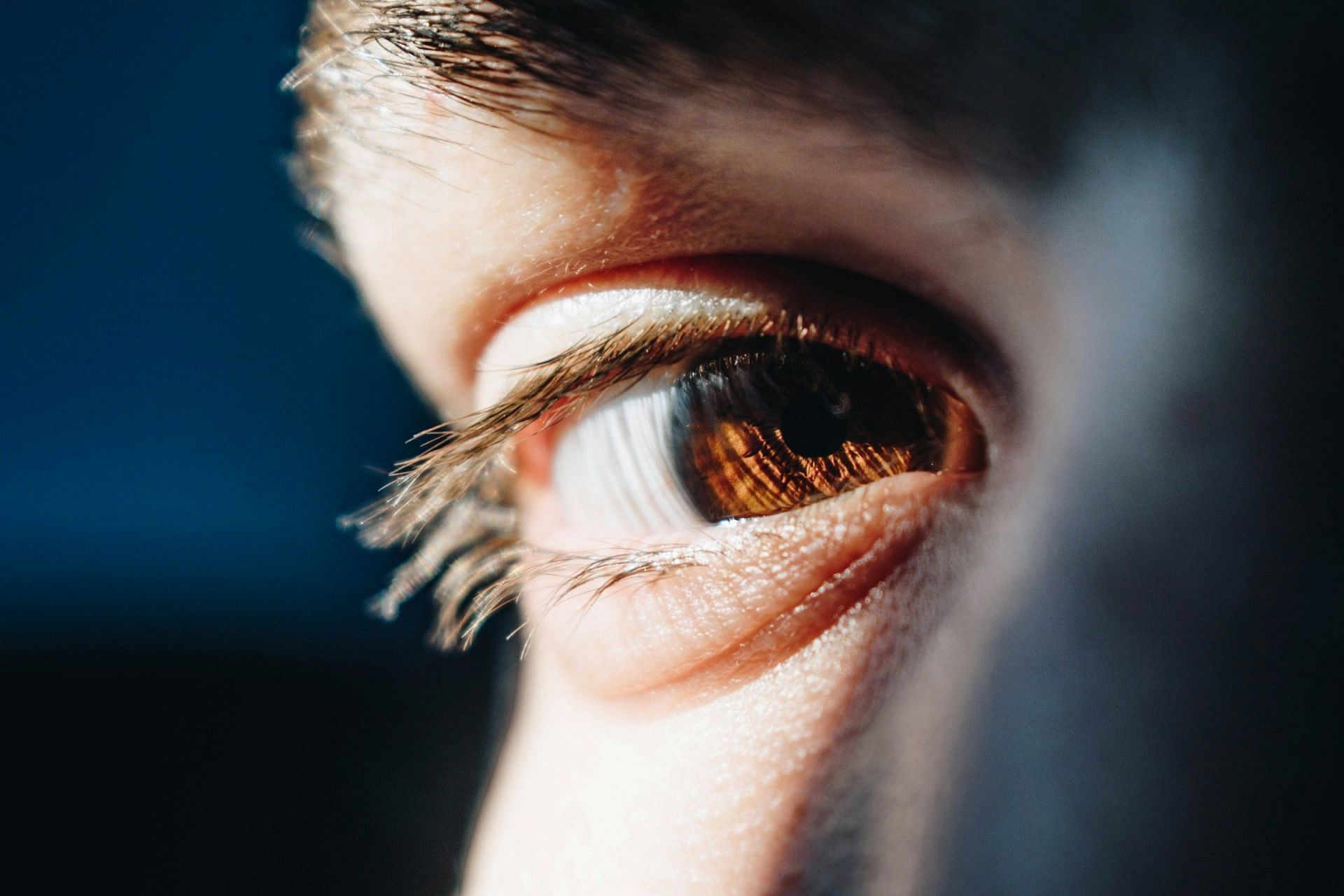 Best supplements for an eye (Image via Unsplash/Bacila Vlad)