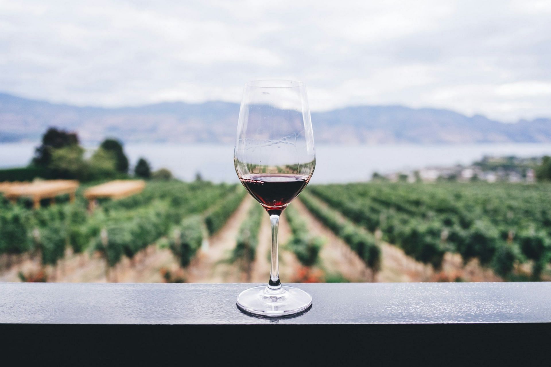 Healthy Red Wines (Image via Unsplash/Kym Ellis)