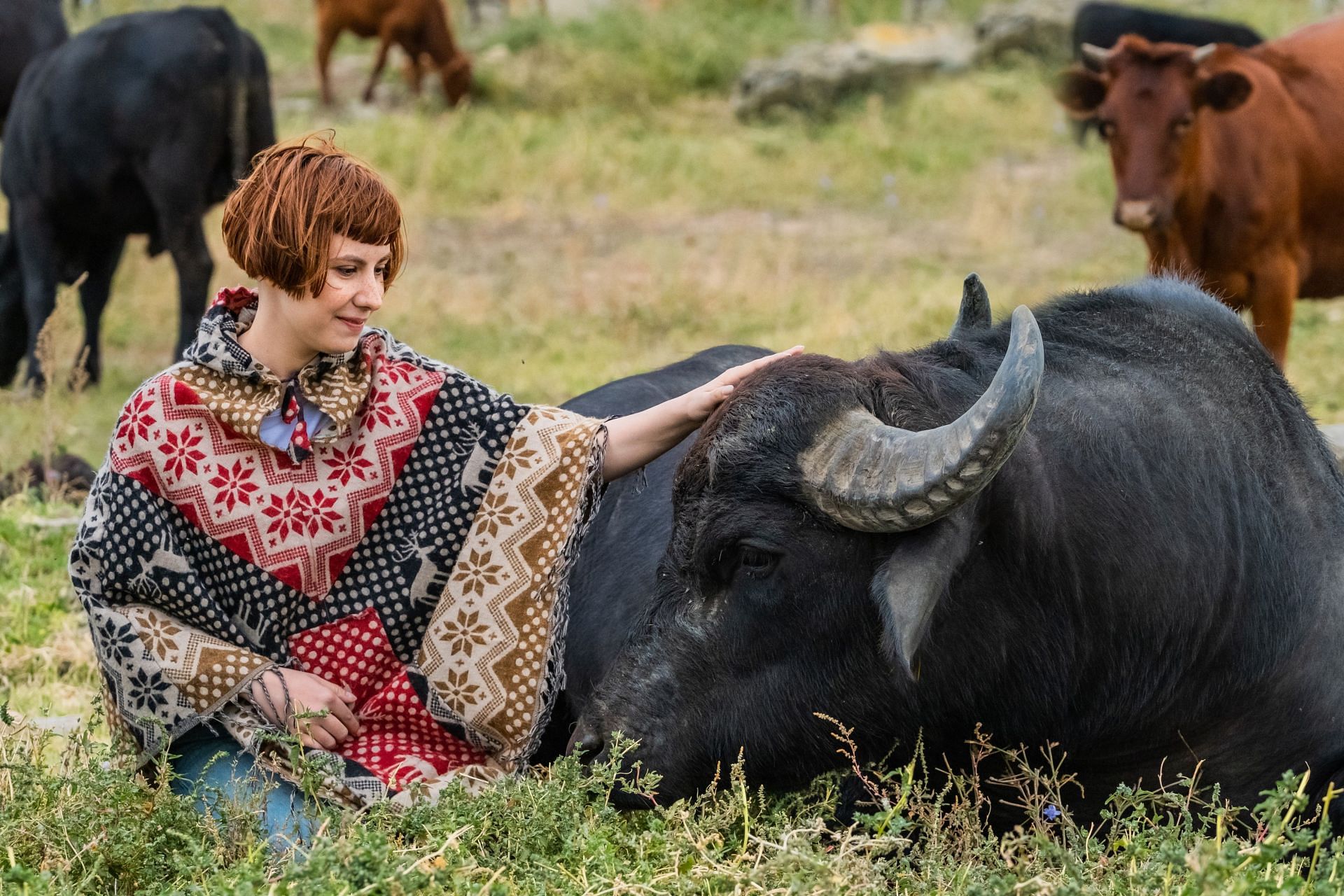 Can cuddling cows help with mental health? (Image via Vecteezy/  Ковальов Сергій)