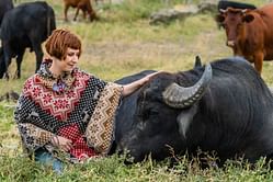Cuddling cows is the buzzing wellness trend that you can't miss!