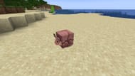 Un armadillo raggomitolato a forma di palla per proteggersi (Immagine via Mojang)