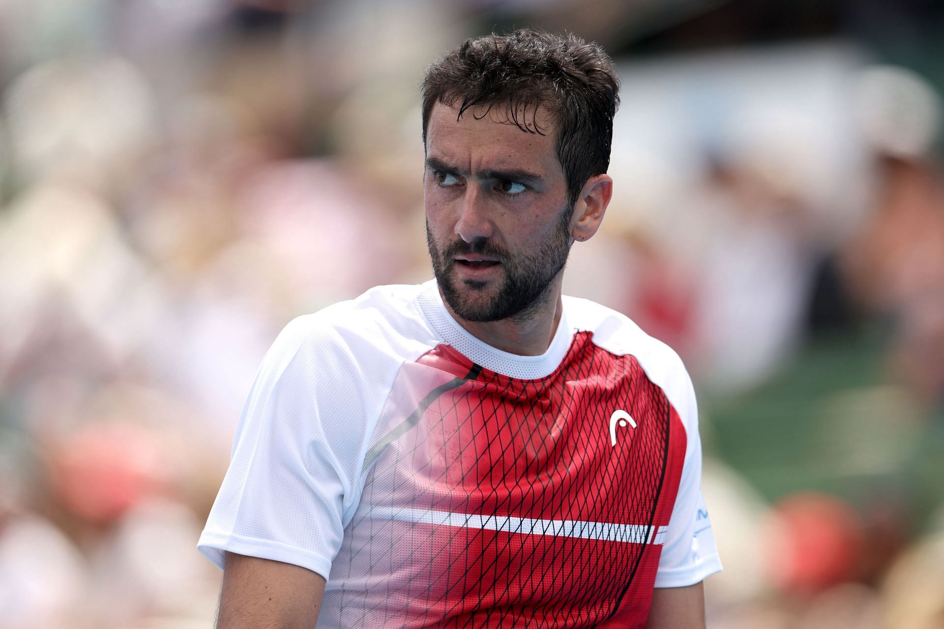 Marin Cilic pictured at the 2024 Kooyong Classic