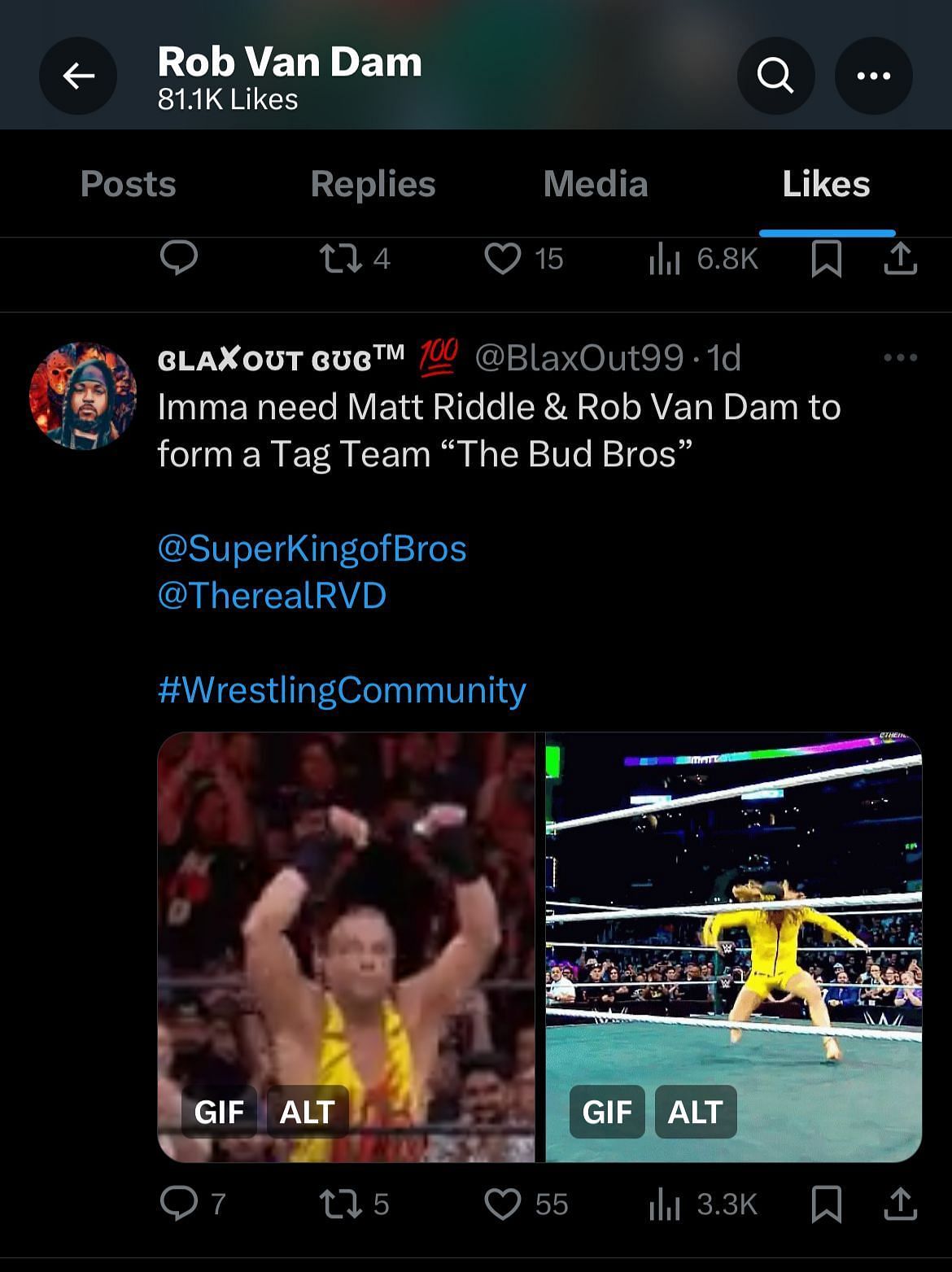 RVD liked a tweet that suggests him teaming up with Matt Riddle