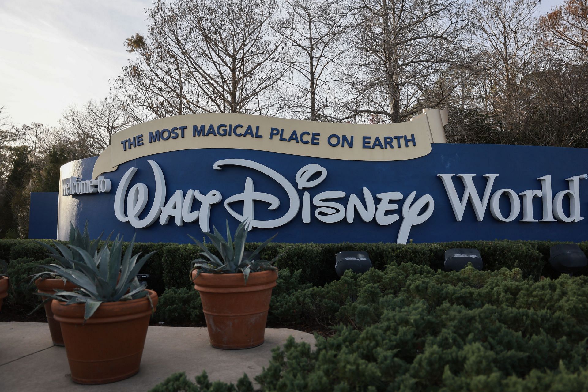 What Happened At Disney World Restaurant? Doctor Allegedly Died Of ...