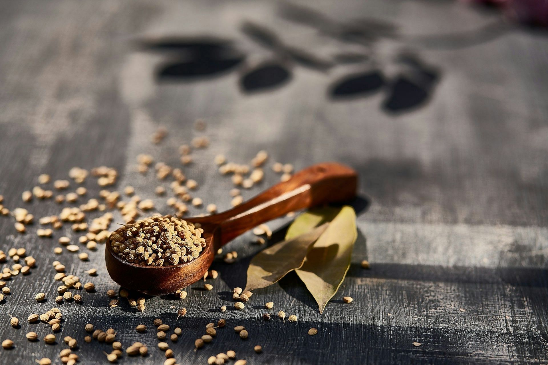 Coriander:A commonly used spice (Image by Swapnil Dwivedi/Unsplash)