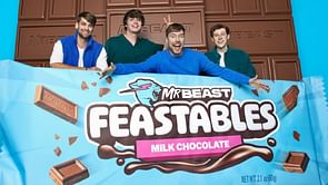 Where to buy MrBeast's new Feastables chocolate bars
