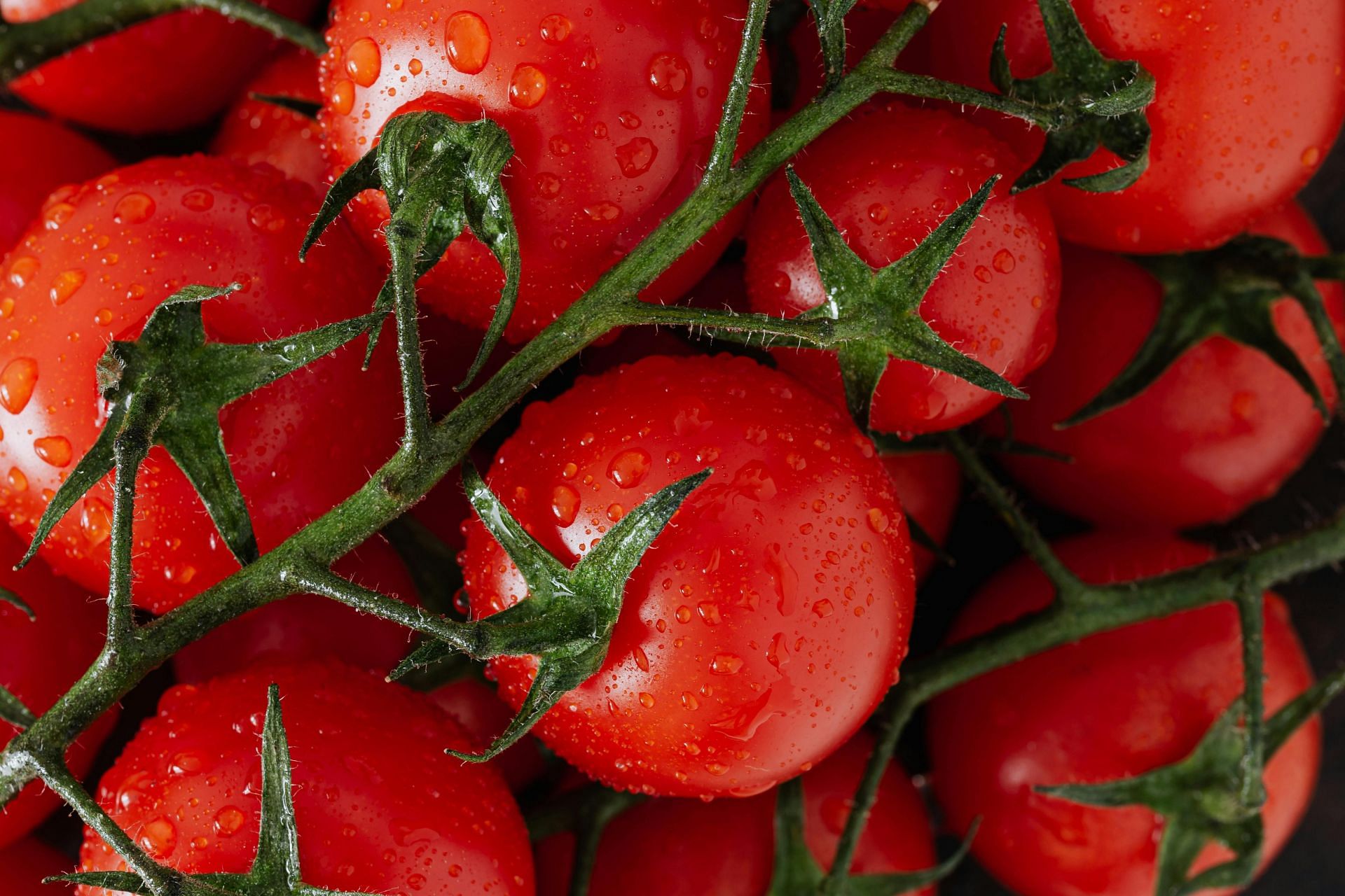Importance of tomato juice benefits (image sourced via Pexels / Photo by karolina)