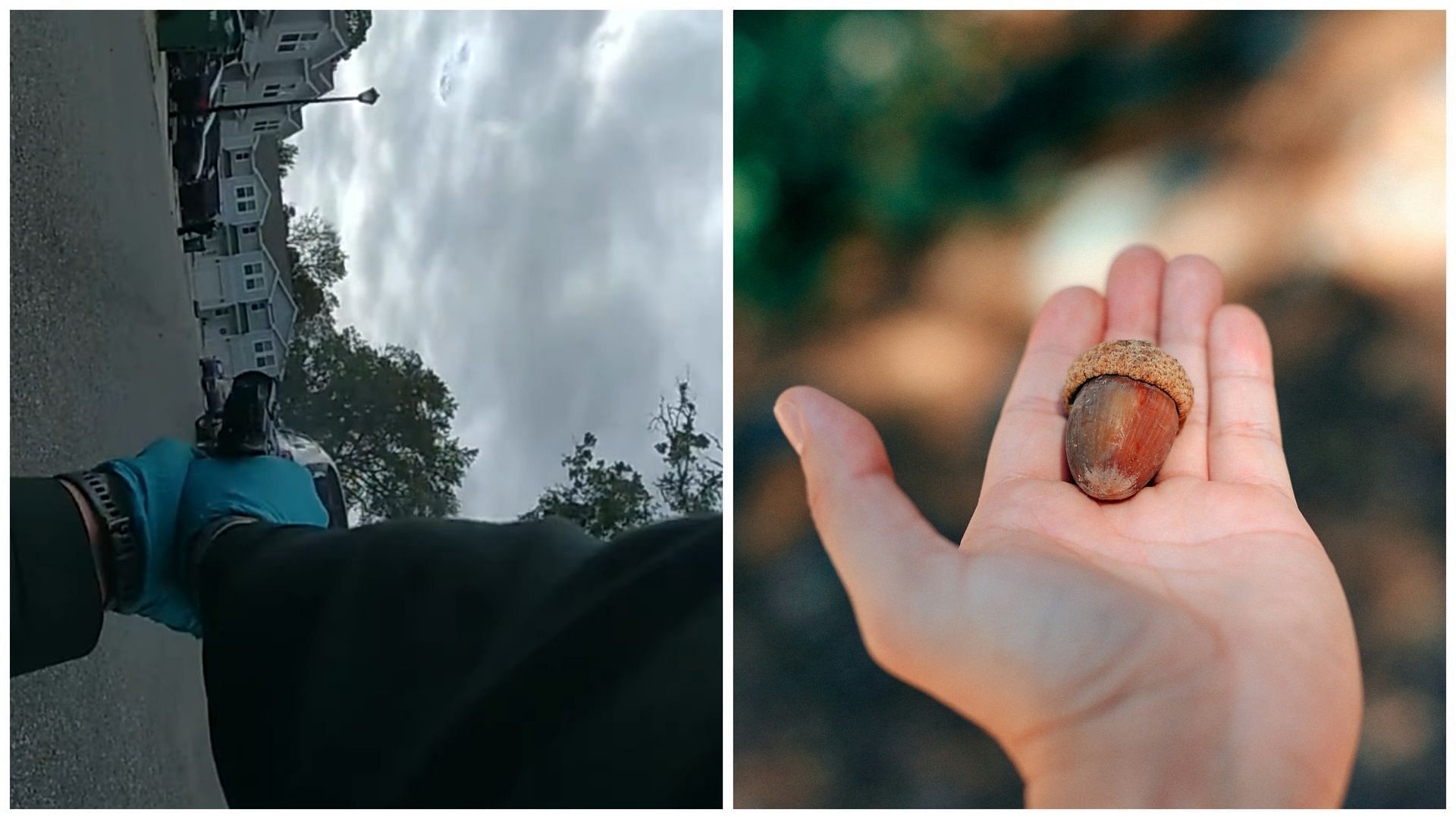 Netizens left stunned by video of Florida opening gun fire on handcuffed suspect after confusing a falling acorn for gunfire (Image via YouTube/OkaloosaSheriff, Jose Hernandez-Uribe on Unsplash)