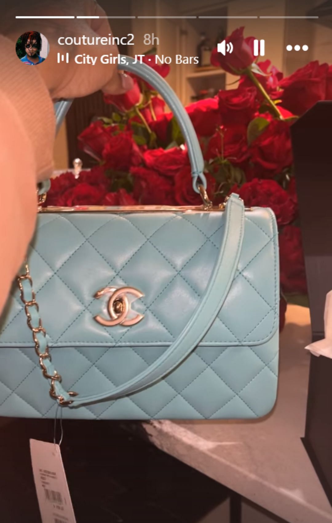 Jeanine Robel&#039;s Instagram story featuring the Chanel bag gifted to her by her boyfriend, Anthony Edwards