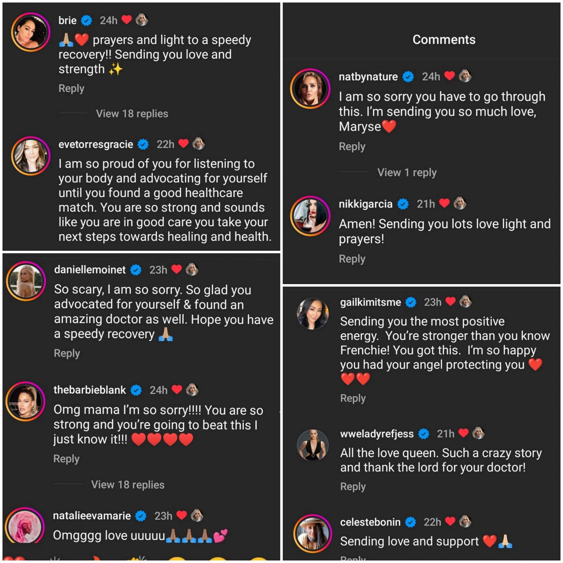 Maryse received comments from former and current WWE stars [Image source: Screenshot of the comments section of Maryse&#039;s post]