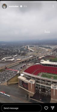 Screenshot of Suni Lee's Instagram story.