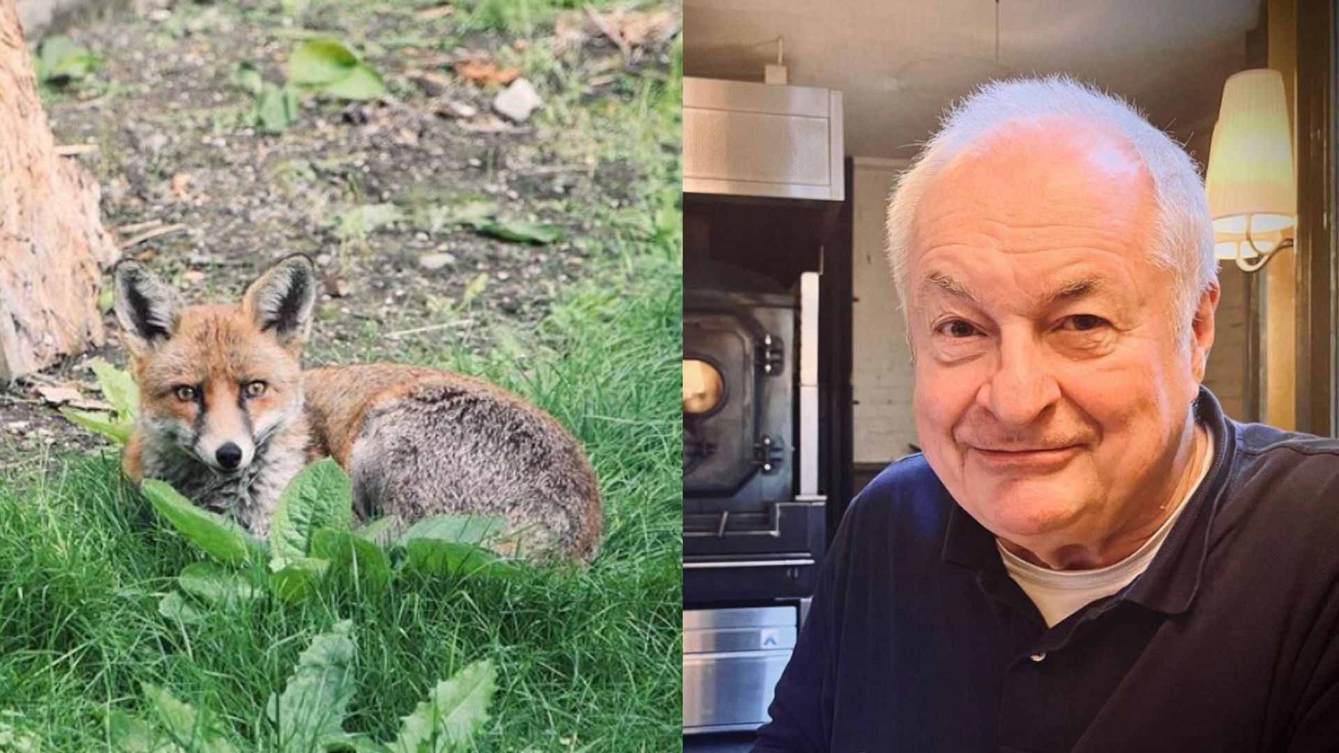 Paul Gambaccini complaining about urban wildlife sparks meme (Image via Instagram/@paulgambaccini)