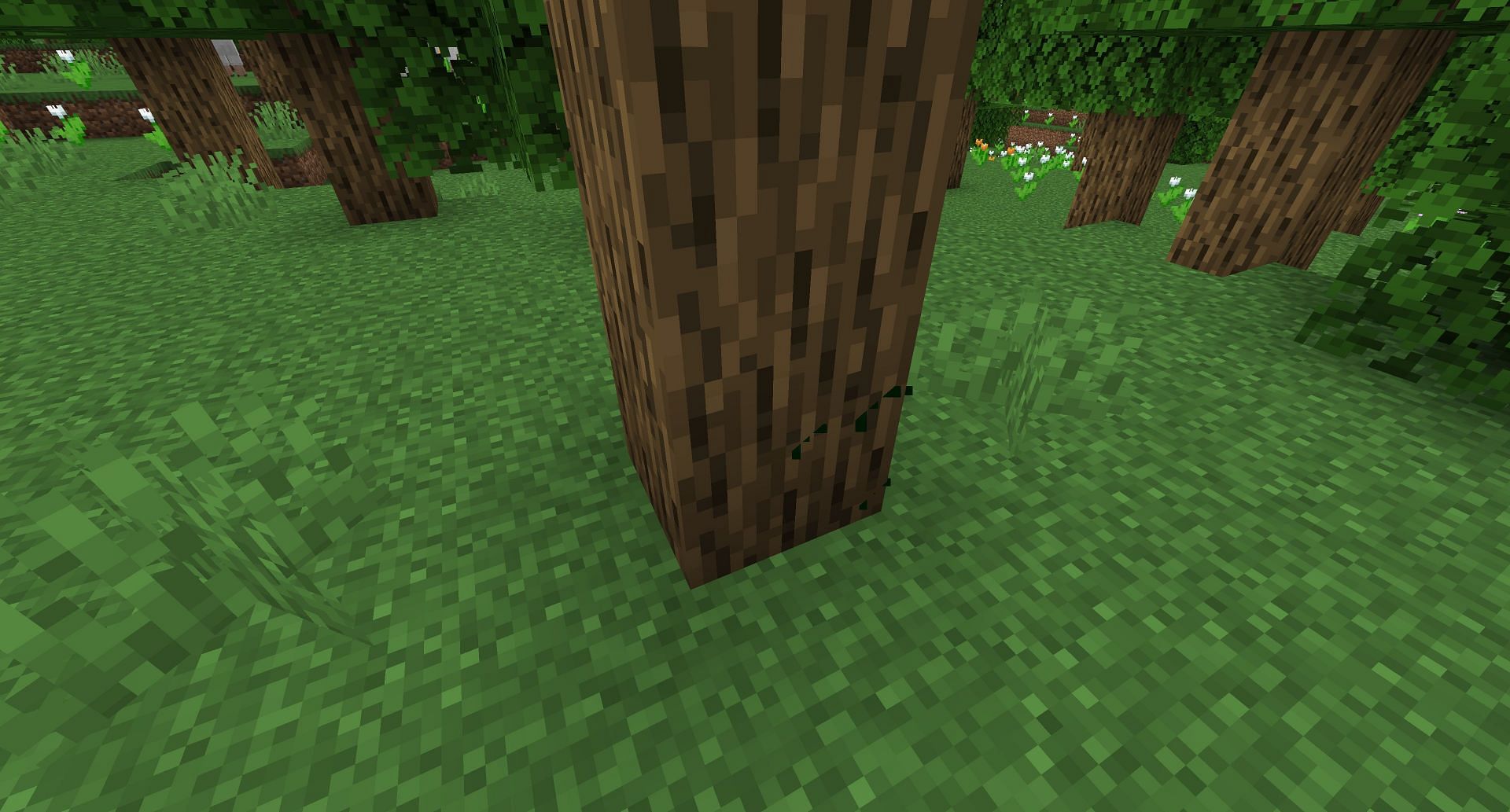 A player growing a tree with bone meal (Image via Mojang)