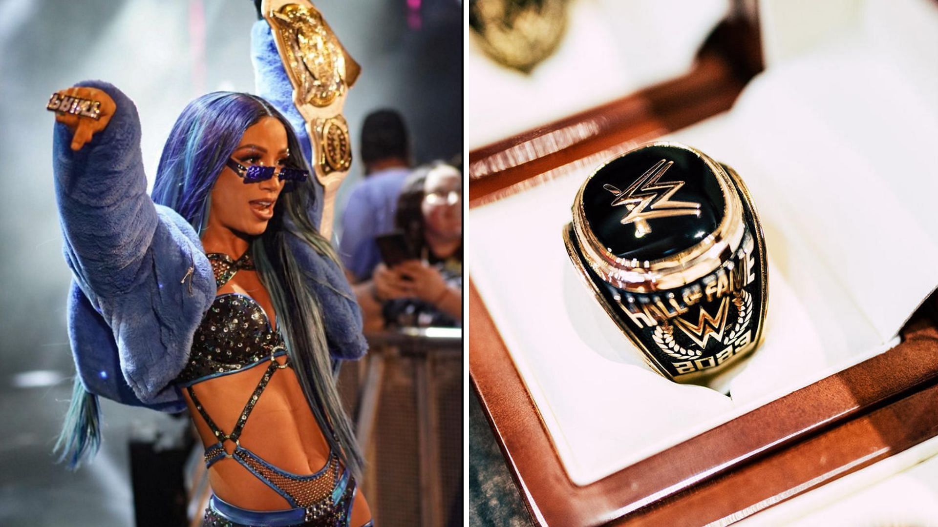 Sasha Banks is a WWE Grand Slam Champion [Image credits: star