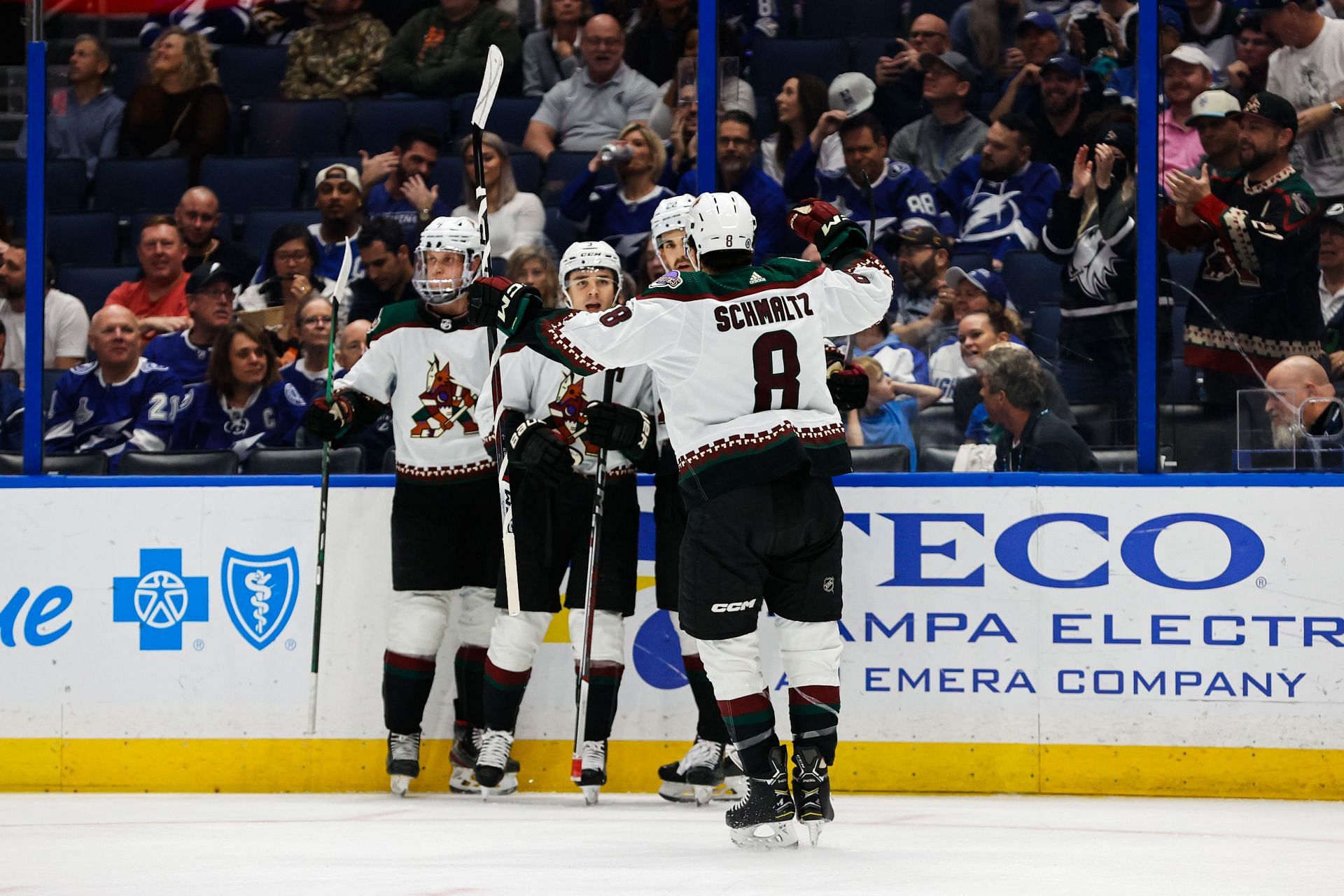 Arizona Coyotes v Tampa Bay Lightning